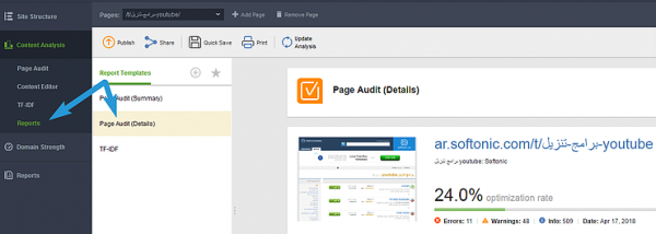 Page Audit Details